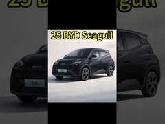 Chińskie samochody elektryczne