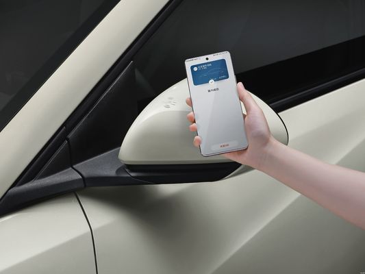 2025 BYD Seagull, ulepszona inteligentna jazda, ulepszona konfiguracja bezpieczeństwa, więcej funkcji i niższa cena!